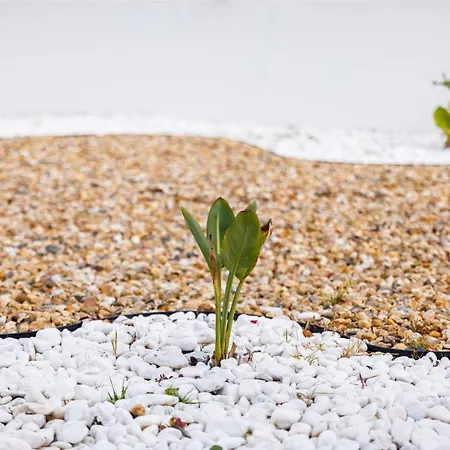 Nobre By The Portuguese Butler Albufeira